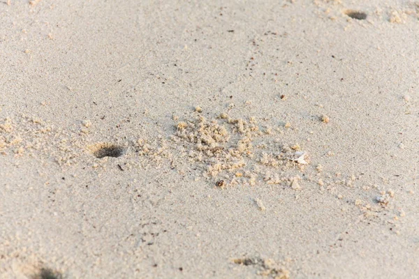Close up de textura de areia — Fotografia de Stock