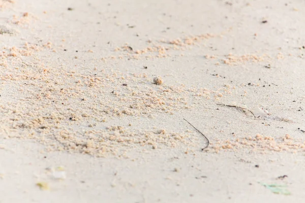 Nahaufnahme der Sandstruktur — Stockfoto