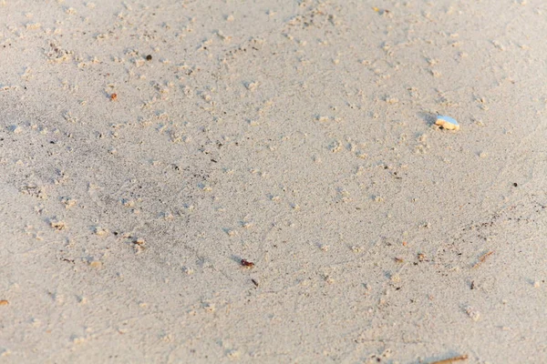 Zbliżenie tekstury piasku — Zdjęcie stockowe