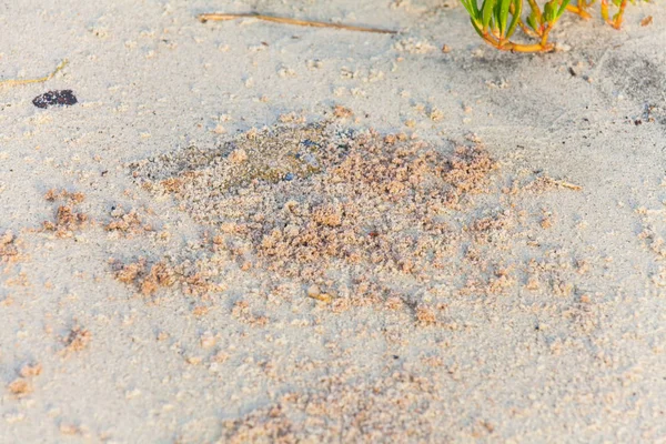 Nahaufnahme der Sandstruktur — Stockfoto