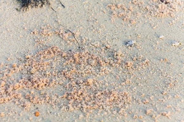 모래 텍스처의 근접 사진 — 스톡 사진