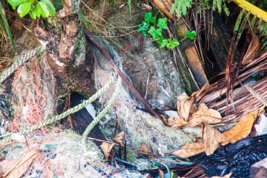 Dökümü sitesi fotoğraf geri dönüşüm projesinin tanıtımı için 