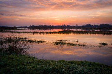 Poranek nad rzek Narew