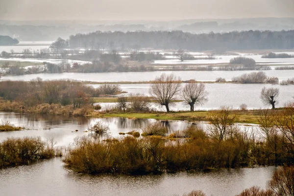 Jesienne rozlewiska rzeki Narew