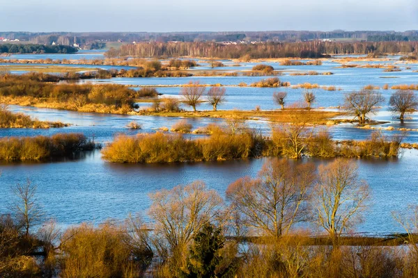 Grudniowe rozlewiska Narwi Biebrzy - 2017