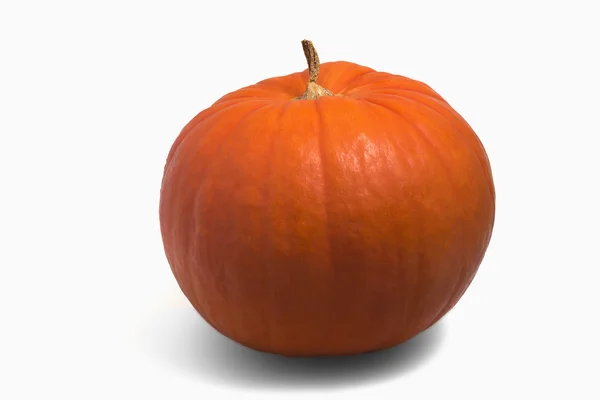 Calabaza aislada con sombra . — Foto de Stock