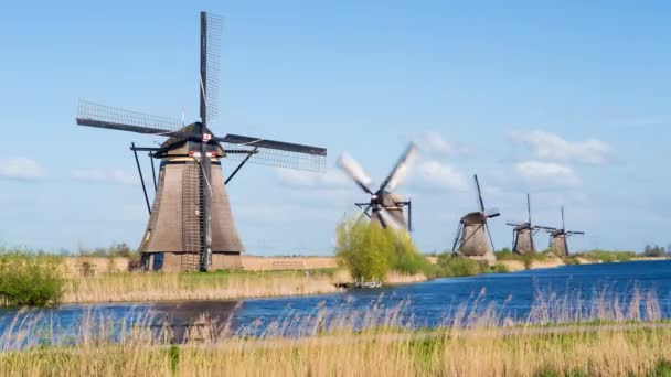 Windmühlen, Unesco-Welterbe in Kinderdeich — Stockvideo