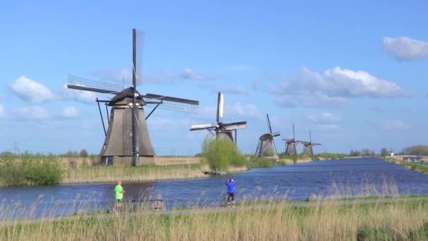 Molinos de viento, Patrimonio de la Humanidad UNESCO en Kinderdijk — Vídeo de stock