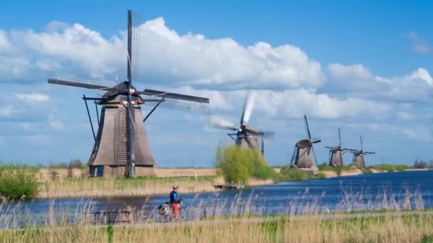 Windmühlen, Unesco-Welterbe in Kinderdeich — Stockvideo