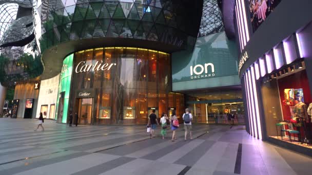 离子果园购物中心，购物区的乌节路，新加坡 — 图库视频影像