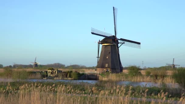 Väderkvarnar, UNESCO: S världsarvslista i Kinderdijk — Stockvideo