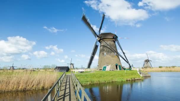 Windmills, UNESCO World Heritage Site in Kinderdijk — Stock Video