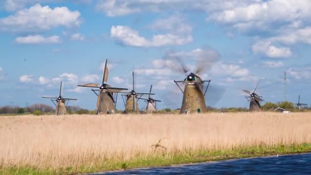 Moinhos de vento, Património Mundial da UNESCO em Kinderdijk — Vídeo de Stock