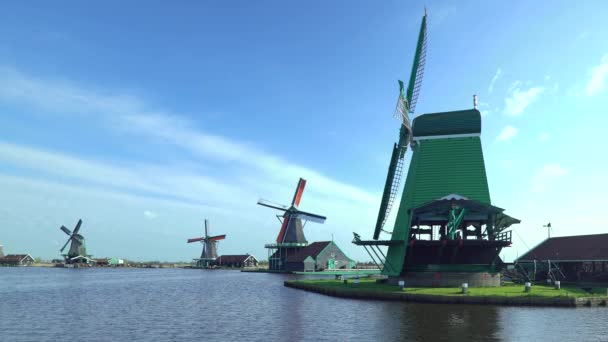 Väderkvarnar på Zaanse Schans nära Zaandam — Stockvideo