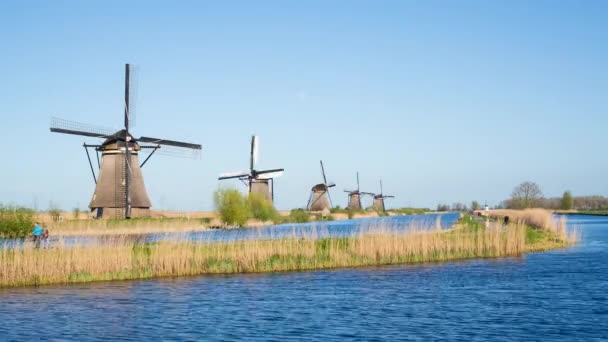 Ветряные мельницы, объект Всемирного наследия ЮНЕСКО в Киндердейке — стоковое видео