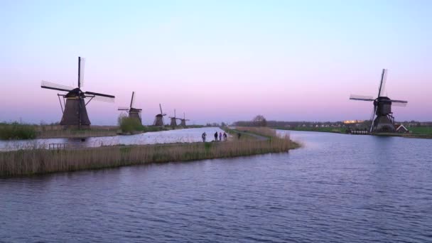 Moinhos de vento, Património Mundial da UNESCO em Kinderdijk ao pôr do sol — Vídeo de Stock