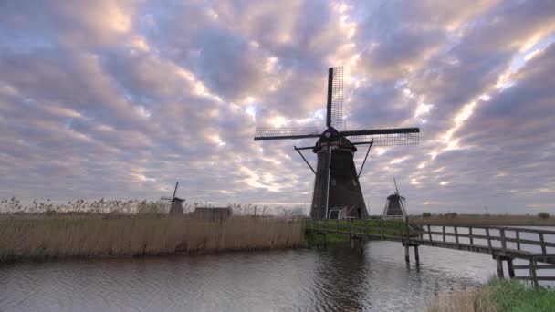 Väderkvarnar, UNESCO: S världsarvslista i Kinderdijk — Stockvideo