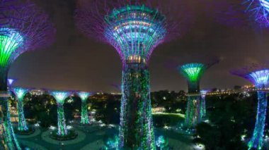 Bay tarafından bahçelerde büyük ağaçlar 