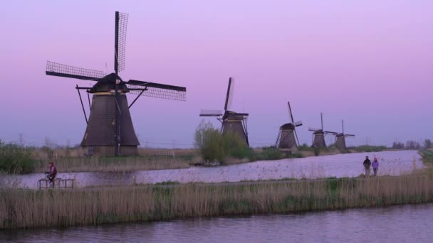 Väderkvarnar, UNESCO: S världsarvslista i Kinderdijk vid solnedgången — Stockvideo