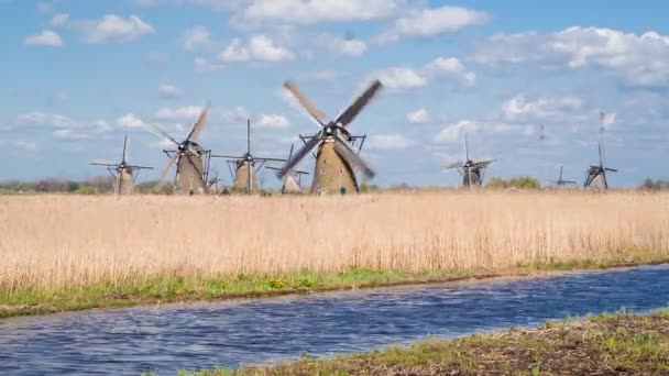 Molinos de viento, Patrimonio de la Humanidad UNESCO en Kinderdijk — Vídeo de stock