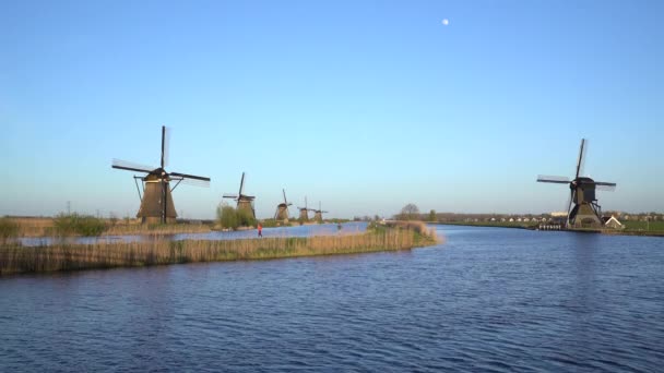 Wiatraki, wpisanego na listę światowego dziedzictwa UNESCO w Kinderdijk — Wideo stockowe