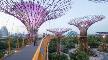 Bay tarafından bahçelerde büyük ağaçlar 