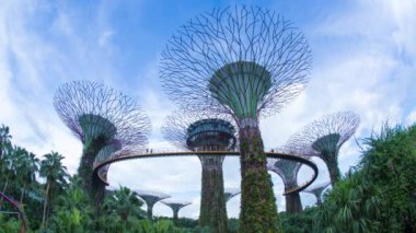 Bay tarafından bahçelerde büyük ağaçlar 