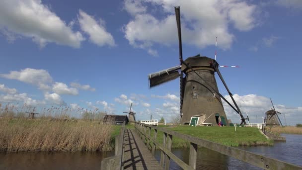 Windmühlen, Unesco-Welterbe in Kinderdeich — Stockvideo