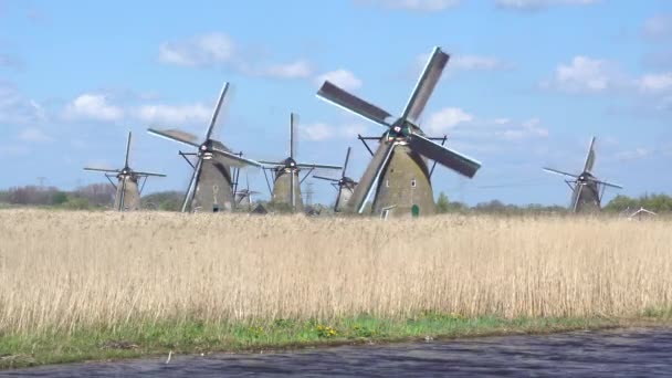 Molinos de viento, Patrimonio de la Humanidad UNESCO en Kinderdijk — Vídeo de stock