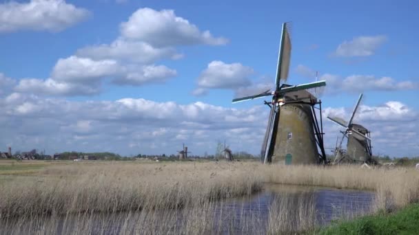 Větrné mlýny, světového dědictví UNESCO v Kinderdijk — Stock video