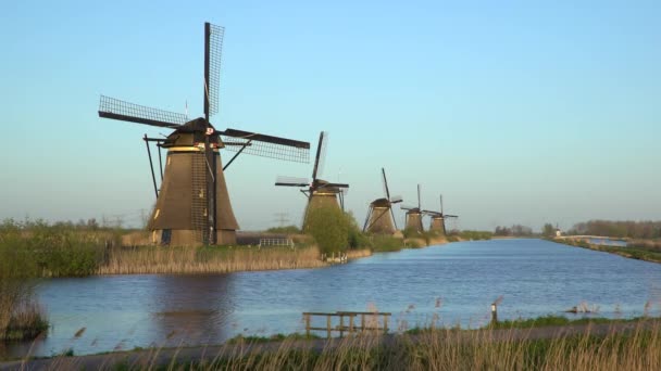 Moinhos de vento, Património Mundial da UNESCO em Kinderdijk — Vídeo de Stock