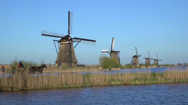 Molinos de viento, Patrimonio de la Humanidad UNESCO en Kinderdijk — Vídeos de Stock