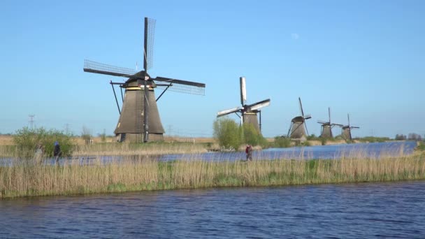 Windmills, UNESCO World Heritage Site in Kinderdijk — Stock Video