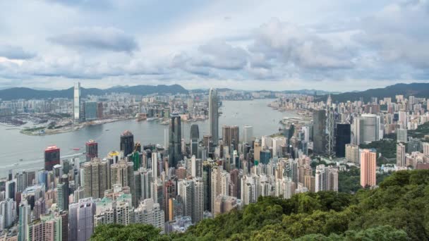 Hong Kong cityscape panorama — Stok video