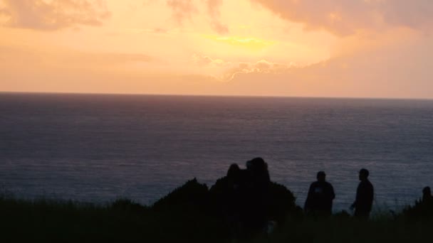 Les gens marchent dans la prairie — Video