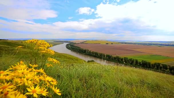 Panorama de la rivière dans le vert — Video