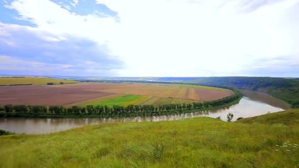 Panorama del río en el verde — Vídeos de Stock