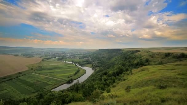 Panoráma a folyó zöld — Stock videók