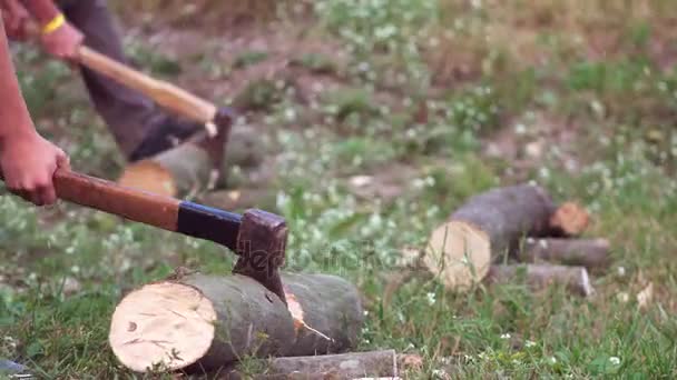 Holzfäller hackt Holzbeil nach Staub 4k — Stockvideo