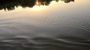 Su içine portakal kürek sıçrama Sunrise