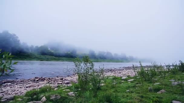 Nebbia su un fiume in mattina estiva — Video Stock