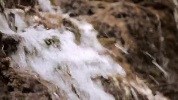 Un petit ruisseau et des cascades dans la forêt d'automne — Video