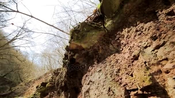 Vatten reflektioner på rock hösten skogen — Stockvideo