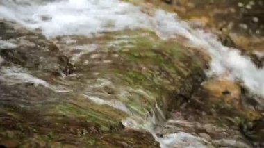 küçük bir dere ve şelaleler sonbahar ormandaki