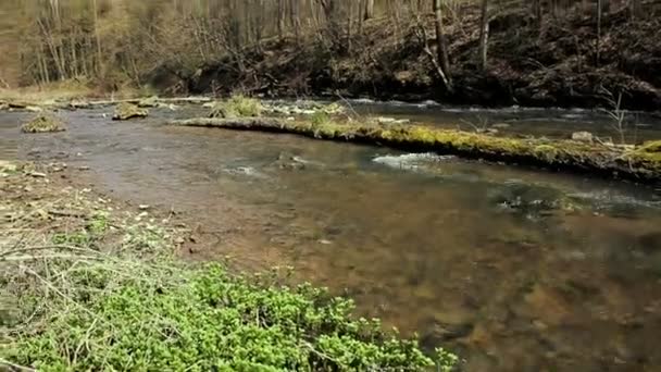 rivière ruisseau en automne forêt colorée nature 