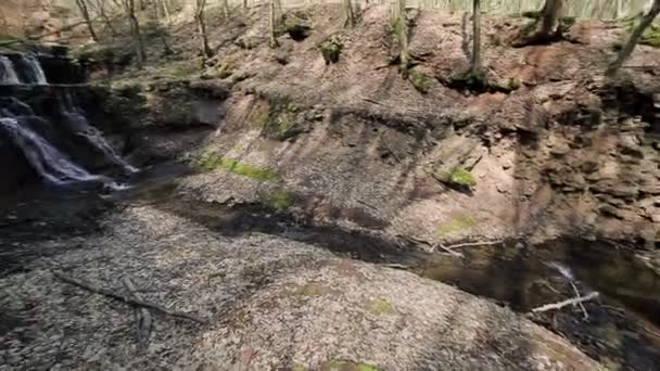 Een kleine kreek en watervallen in de herfst bos — Stockvideo