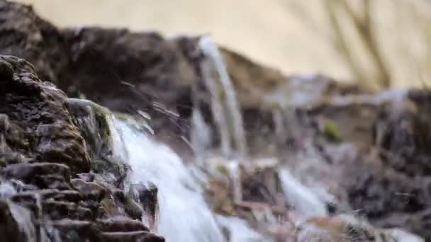 En liten bäck och vattenfall i höst skogen — Stockvideo