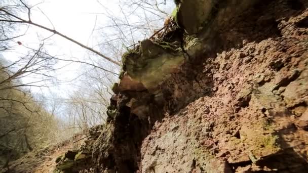 Reflejos de agua sobre roca bosque otoñal — Vídeo de stock