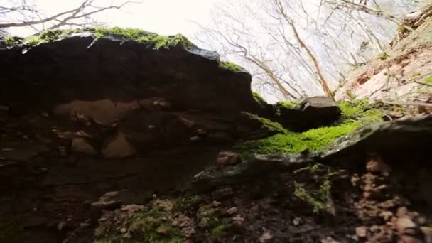 Reflejos de agua sobre roca bosque otoñal — Vídeo de stock