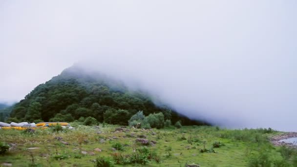 Ομίχλη το πρωί στο βουνό με τουριστικά και κάμπινγκ — Αρχείο Βίντεο